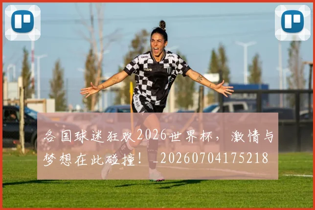 各国球迷狂欢2026世界杯,激情与梦想在此碰撞!_20260704175218