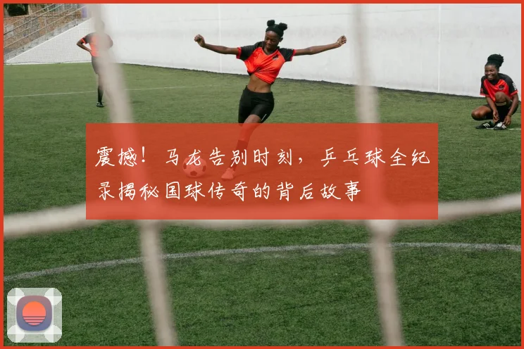 震撼!马龙告别时刻,乒乓球全纪录揭秘国球传奇的背后故事