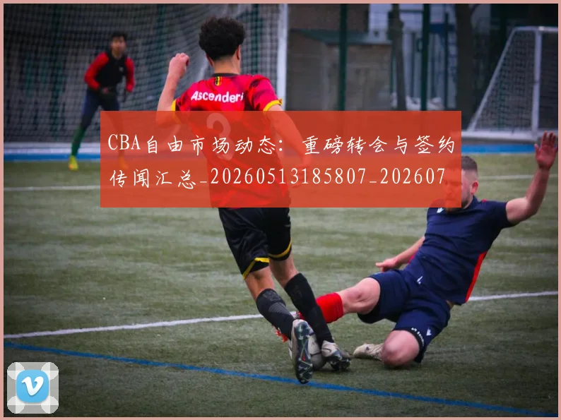CBA自由市场动态:重磅转会与签约传闻汇总_20260513185807_20260702040813