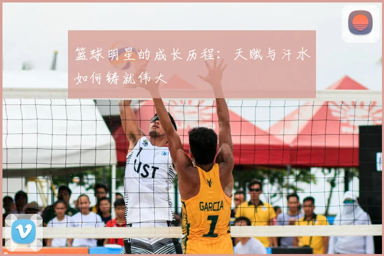篮球明星的成长历程：天赋与汗水如何铸就伟大
