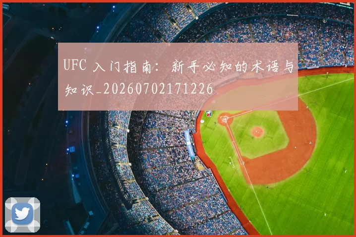 UFC 入门指南:新手必知的术语与知识_20260702171226